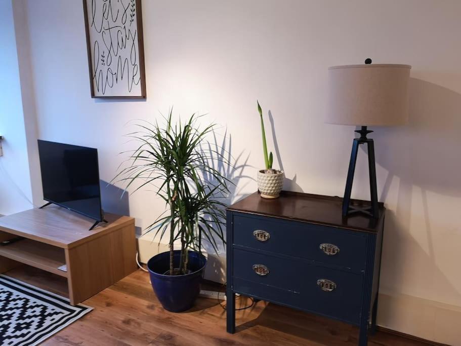 2 Bed Flat, Bounds Green, Piccadilly Line, London N11 Esterno foto